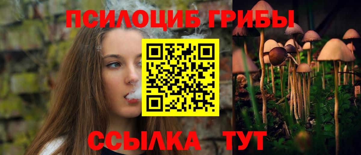 Псилоцибиновые грибы прущие грибы Полевской